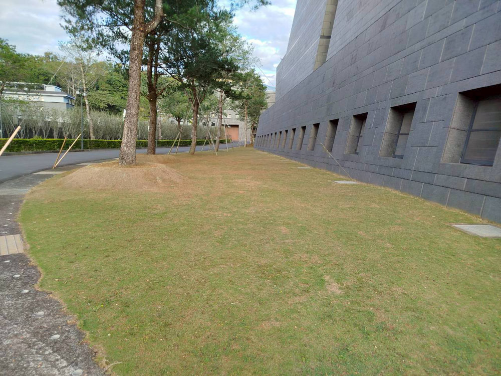 中台世界博物館園藝割草